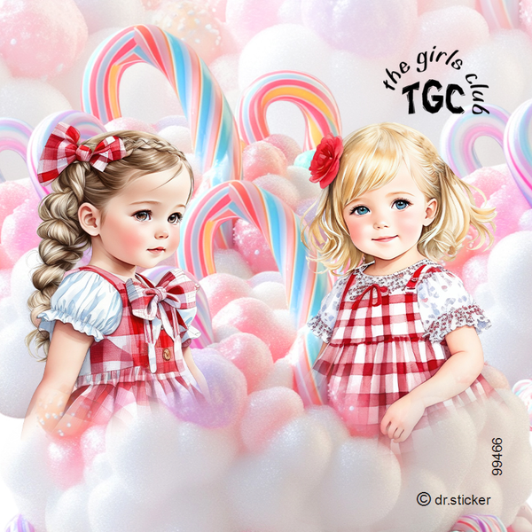 The Girls Club Pastel Candy house #2