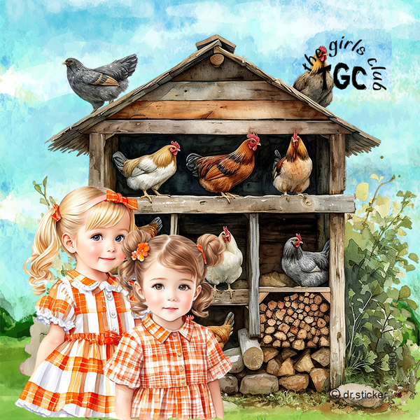 The Girls Club Chicken Coupe