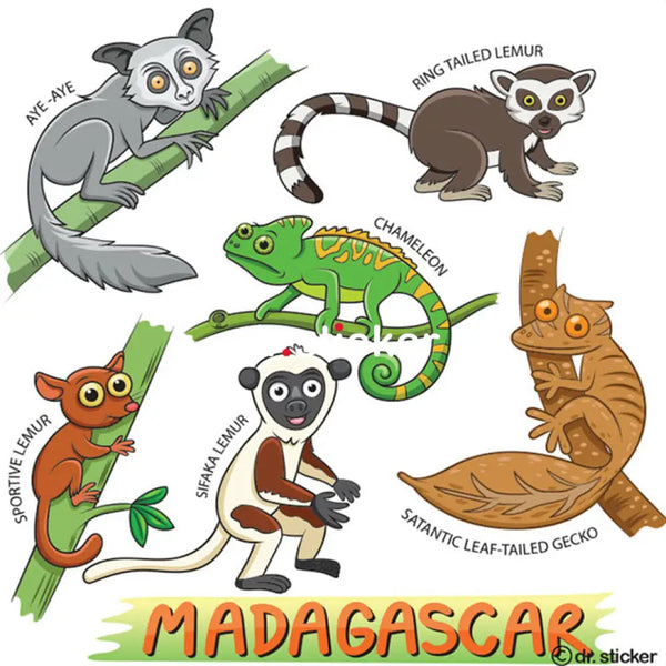 animals-educational 11