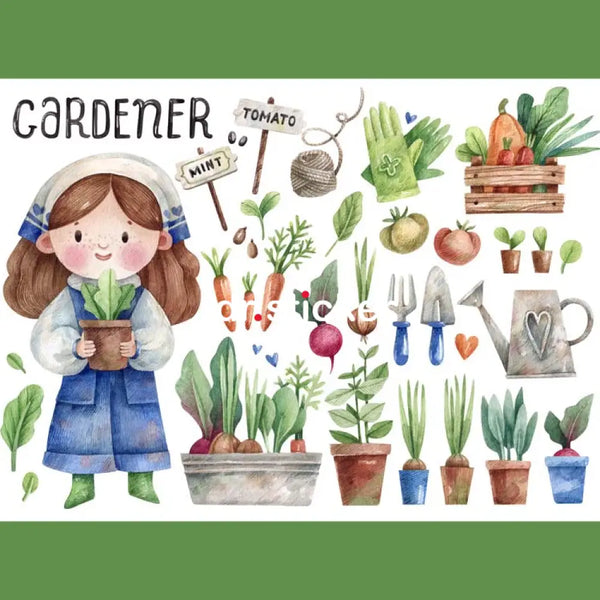 my little career 260