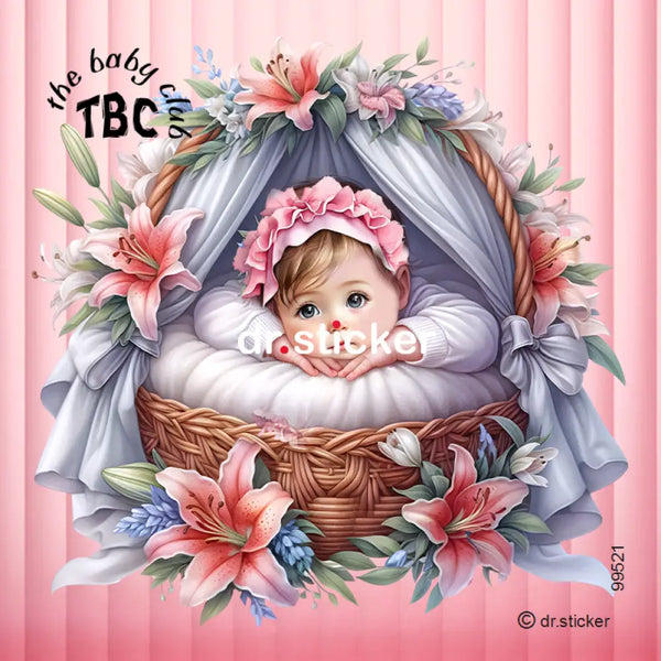 The Baby Club In a Basket 521