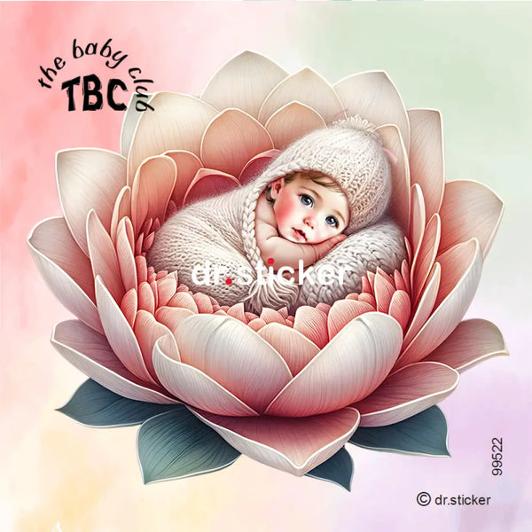 The Baby Club In a flower 522