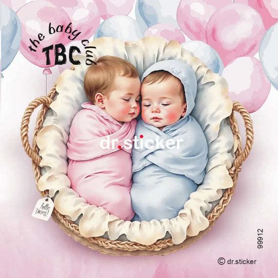 The Baby Club Twins #1 912