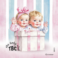 The Baby Club Twins #2 913