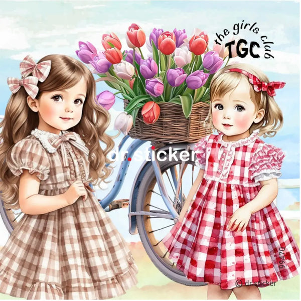 The Girls Club Bicycle 470